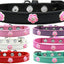 Dog, Puppy & Pet Widget Fashion  Collar, "Bright Pink Roses"