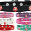 Dog, Puppy & Pet Widget Fashion Collar, "Red Roses"