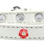 Dog, Puppy & Pet Widget Fashion Collar, "Red Roses"