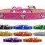 Dog, Puppy & Pet Widget Ice Cream Collar, "Silver Star"