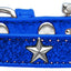 Dog, Puppy & Pet Widget Ice Cream Collar, "Silver Star"