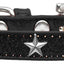 Dog, Puppy & Pet Widget Ice Cream Collar, "Silver Star"