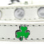 Dog, Puppy & Pet Widget Collar, "Shamrock"