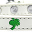 Dog, Puppy & Pet Widget Fashion  Collar, "Green Palm Tree"