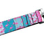 Pet Dog & Cat Nylon Collar or Leash, "Flamingo Fun"