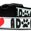 Pet Dog & Cat Nylon Collar or Leash, "Adopt Me"