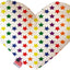 Pet and Dog Plush Heart or Bone Toy, "Rainbow Pride Group" (Available in different sizes, and 7 different pattern options!)