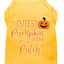 Halloween Pet Dog & Cat Shirt Screen Printed, "Cutest Pumpkin In The Patch"