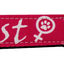 Pet Dog & Cat Nylon Collar or Leash, "Feminist"