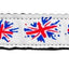 Pet Dog & Cat Nylon Collar or Leash, "Graffiti Union Jack"