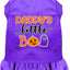 Halloween Pet Dog & Cat Dress Screen Printed, "Daddy's Little Boo"