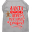 Christmas Pet Dog & Cat Shirt Screen Printed, "Santa, We Have Cookies"