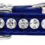 Dog, Puppy & Pet Designer Croc Collar, "Beverly Style"