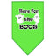 Halloween Pet and Dog Bandana Screen Printed, "Here For The Boos"