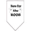 Halloween Pet and Dog Bandana Screen Printed, "Here For The Boos"