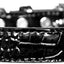 Dog, Puppy & Pet Designer Croc Collar, "Tulsa Plain 3/4" Wide"