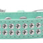 Dog, Puppy & Pet Fashion  Collar, "Two Row Clear Crystal Rimsets"