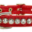 Dog, Puppy & Pet Collar, "Patent Jewel Beverly"