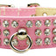 Dog, Puppy & Pet Collar, "Patent Jewel #73"