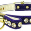 Dog, Puppy and Pet Collar, "Velvet Bow"