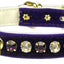 Dog, Puppy and Pet Collar, "Velvet Deluxe"