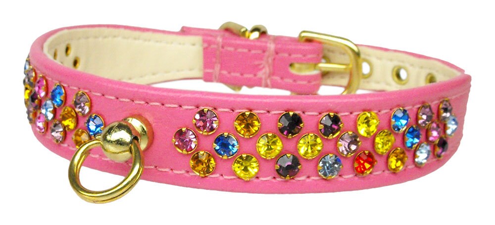 Dog, Puppy & Pet Collar, "Confetti"