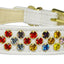 Dog, Puppy & Pet Collar, "Confetti"