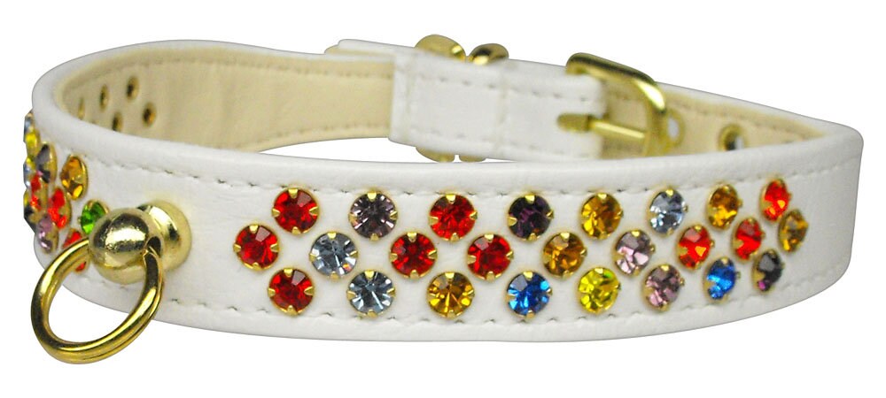 Dog, Puppy & Pet Collar, "Confetti"