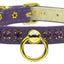 Dog, Puppy & Pet Collar, "Petite Rhinestone"