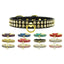 Dog, Puppy & Pet Collar, "Swank Rhinestone"