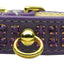 Dog, Puppy & Pet Collar, "Fleetwood Rhinestone"