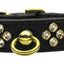 Dog, Puppy & Pet Collar, "Tiara Rhinestone"