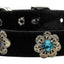 Dog, Puppy & Pet Collar, "Pasadena Crystal Flower"