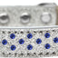 Dog, Puppy & Pet Ice Cream  Collar, "Blue Crystal Rimsets Sprinkles"