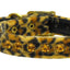 Cat Safety Collar, "Animal Print"