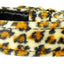 Dog, Puppy & Pet Collar, "Animal Print #70"