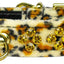 Dog, Puppy and Pet Collar, "Animal Print Sahara"