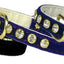 Dog, Puppy & Pet Collar, "#16 Crystal Velvet"