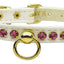 Dog, Puppy & Pet Collar, "Petite Rhinestone"