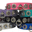 Dog, Puppy & Pet Collar, "Starlite Crystal Flower"