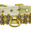 Dog, Puppy & Pet Collar, "Sunburst Crystal Flower"