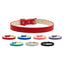 Dog, Puppy & Pet Plain Collar, "3/8" Wide"