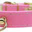 Dog, Puppy and Pet Collar, "#70 Plain, Blank"