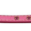 Dog, Puppy & Pet Leash, "Colored Crystal Rhinestones"