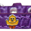 Dog, Puppy & Pet Designer Croc Widget Collar, "Chickadee"