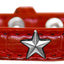 Dog, Puppy and Pet Designer Croc Widget Collar, "Red, White & Blue Stars"