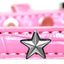 Dog, Puppy and Pet Designer Croc Widget Collar, "Red, White & Blue Stars"