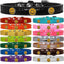 Dog, Puppy & Pet Designer Croc Widget Collar, "Happy Face"