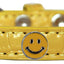 Dog, Puppy & Pet Designer Croc Widget Collar, "Happy Face"