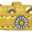 Dog, Puppy & Pet Designer Croc Widget Collar, "White Daisies"